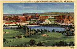 University of California at Los Angeles Westwood Hills Postcard
