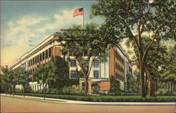 University of Michigan Museum Postcard