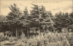 Pinehurst Camps at Alexandria Bay Postcard