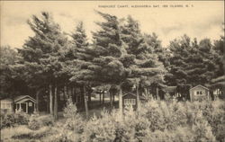 Pinehurst Camps at Alexandria Bay New York Postcard Postcard