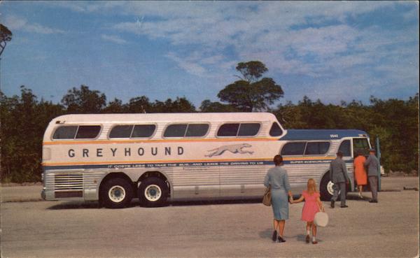 America's Favorite Bus: The Super Scenicruiser Buses