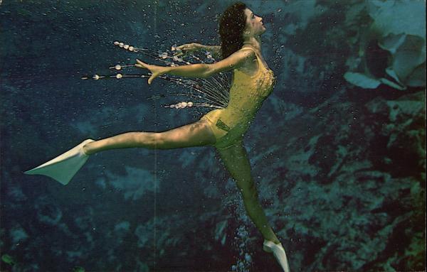 Spring of Live Mermaids Weeki Wachee Florida