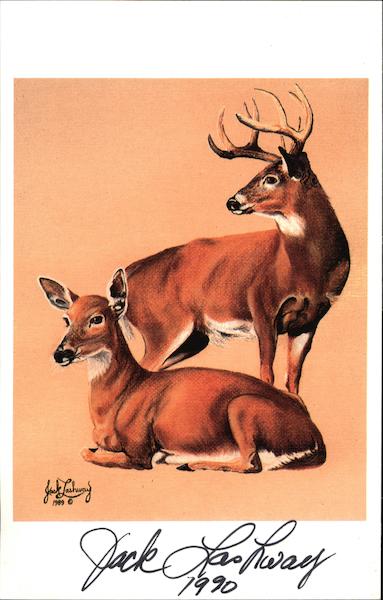 Whitetail Buck and Doe by Jack Lashway, 1990 Art