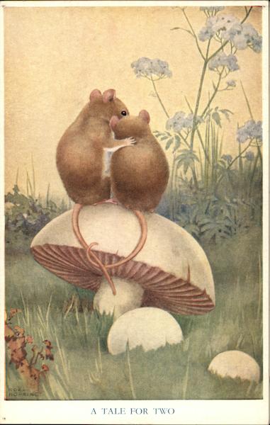 A Tale for Two Noel Hopking Mice