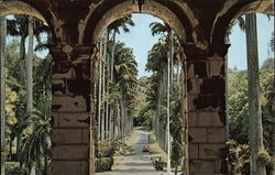 Codrington College - Driveway Postcard