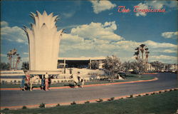 Stock #352161 Thumbnail