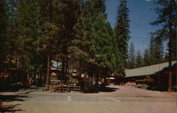 Ducey's Bass Lake Lodge California Postcard Postcard