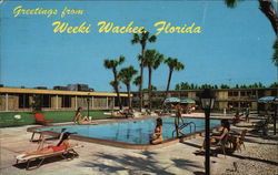 Holiday Inn Weeki Wachee, FL Postcard Postcard