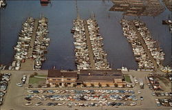 The Wharf - Fisherman's Terminal Postcard