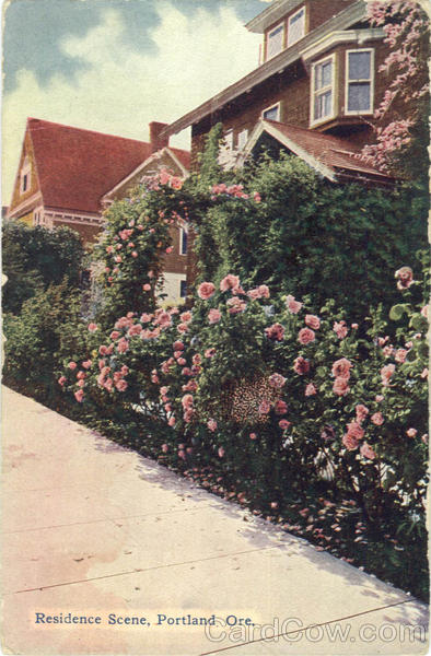 Residence Scene Portland Oregon