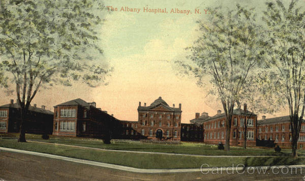 The Albany Hospital New York