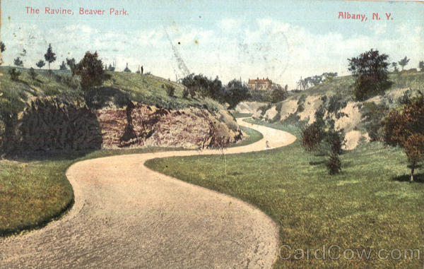 The Ravine, Beaver Park Albany New York