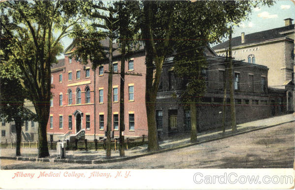 Albany Medical College New York