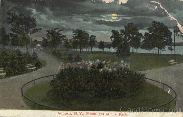 Moonlight At The Park Auburn New York