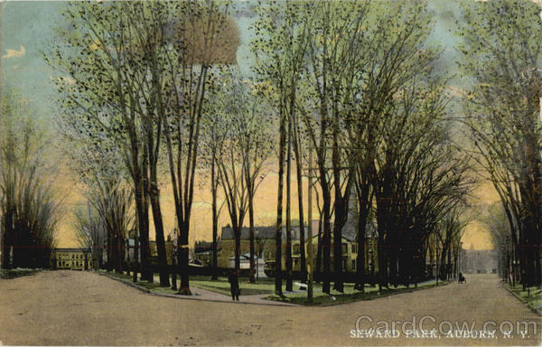 Seward Park Auburn New York