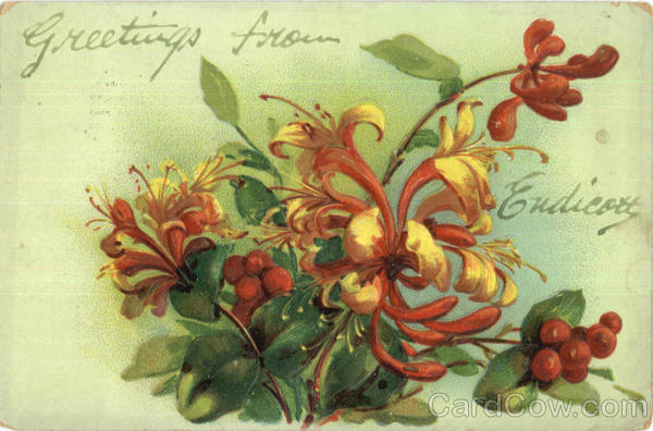 Greetings From Endicott New York