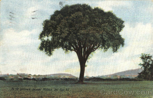 An Old Landmark Between Mohawk And Ilion New York