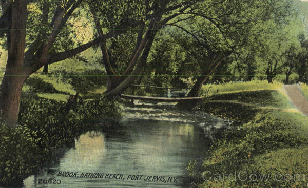 Brook Bathing Beach Port Jervis New York