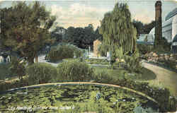 Lily Ponds At Soldiers Home Dayton, OH Postcard Postcard
