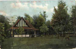 View In City Park Postcard
