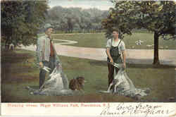 Shearing Sheep, Roger Williams Park Providence, RI Postcard Postcard