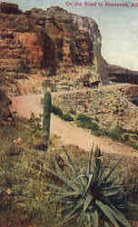 Desert Scene Roosevelt, AZ Postcard Postcard