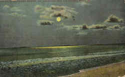 Moonlight View Postcard