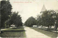 Washington Street Brandon, WI Postcard Postcard