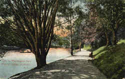 Lake In Washington Park West Of Bridge Postcard