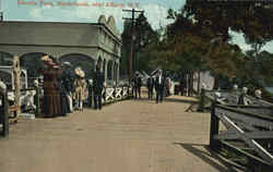 Electric Park, Kinderhook Postcard