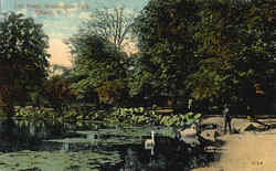 Lily Pond, Washington Park Postcard