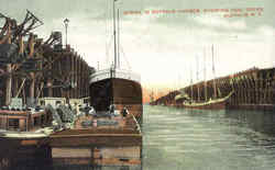 Scene In Buffalo Harbor Postcard