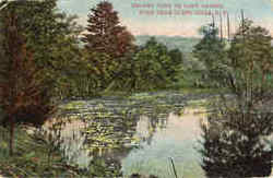 Bloody Pond On Lake George Postcard