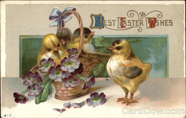 Best Easter Wishes With Chicks