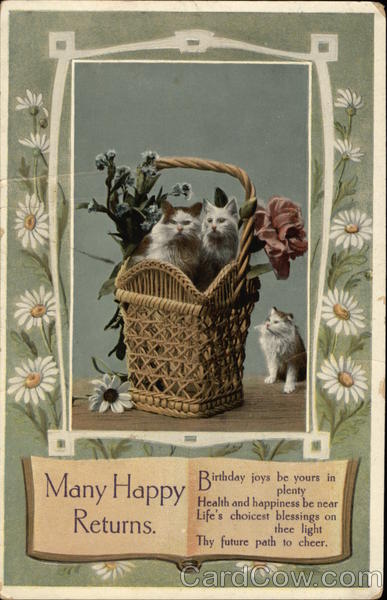 Cats in a Basket - Many Happy Returns Birthday