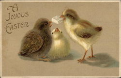 A Joyous Easter With Chicks Postcard Postcard