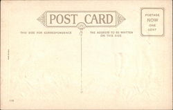 back