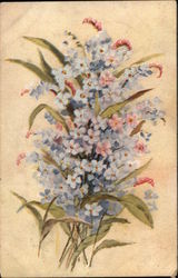 Bouquet of Forget-Me-Nots Flowers Postcard Postcard