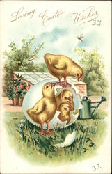 Loving Easter Wishes With Chicks Postcard Postcard