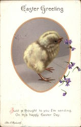 Easter Greeting With Chicks Postcard Postcard
