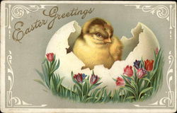 Easter Greetings With Chicks Postcard Postcard