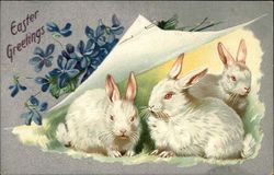 Easter Greetings Easter Greetings