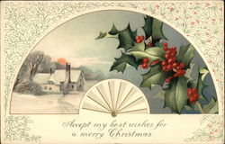 Accept my Best Wishes for a Merry Christmas Postcard