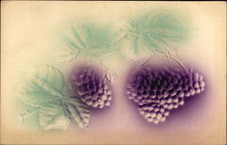 Blackberries Postcard