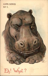 Hippo Series No. 1, Eh! What? Postcard