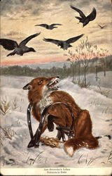 Red Fox caught in Trap in the Snow Postcard