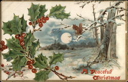 A Peaceful Christmas Postcard Postcard