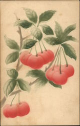 Branch of Cherries Fruit Postcard Postcard