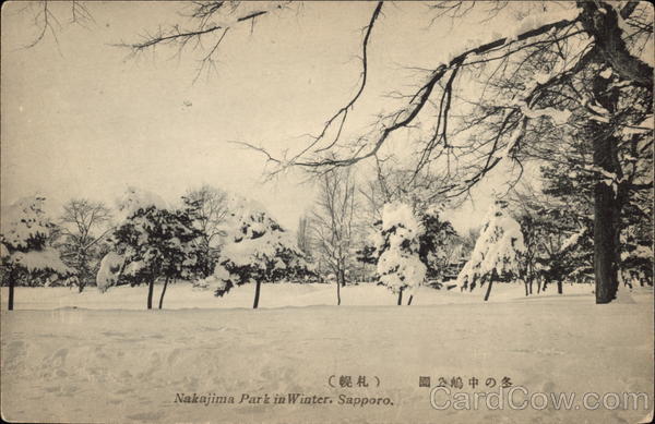 Nakajima Park In Winter Sapporo Japan