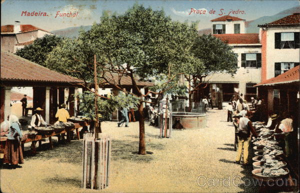 Madeira. Funchal. Praça de S. Pedro Portugal